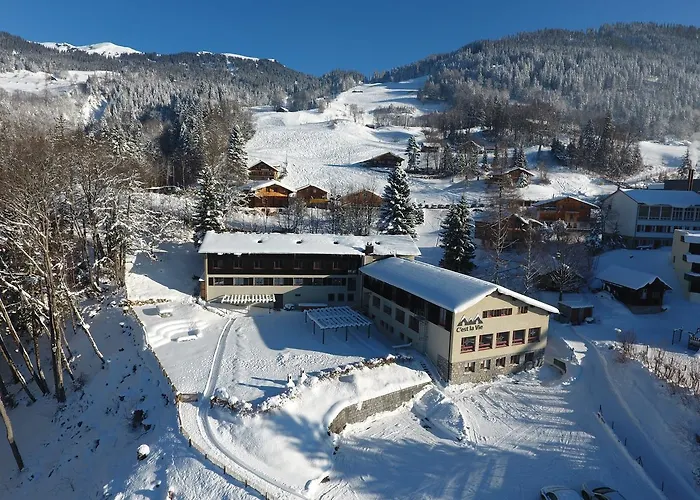 Auberge de jeunesse C'est La Vie Hasliberg