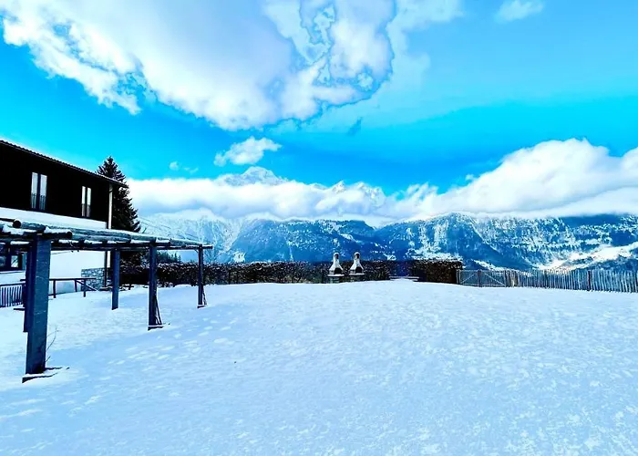 Hostel Family & Mountain C'est La Vie Hasliberg